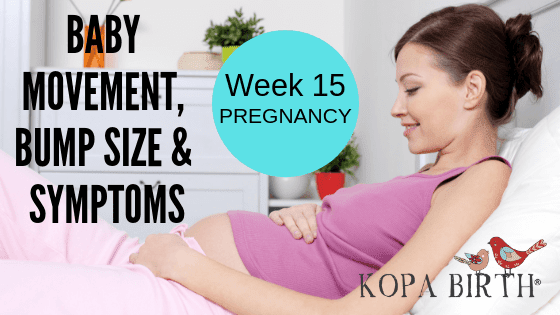 Week 15 Pregnancy - Baby Movement Bump Size and Symptoms