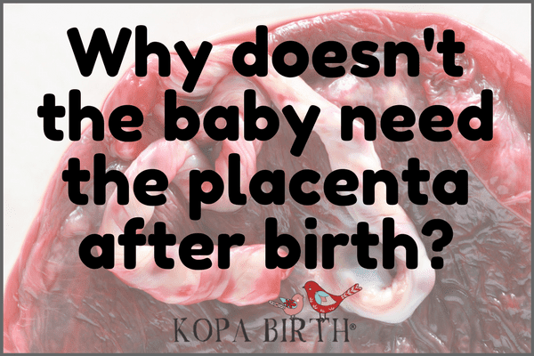 Why doesn't the baby need the placenta after birth?