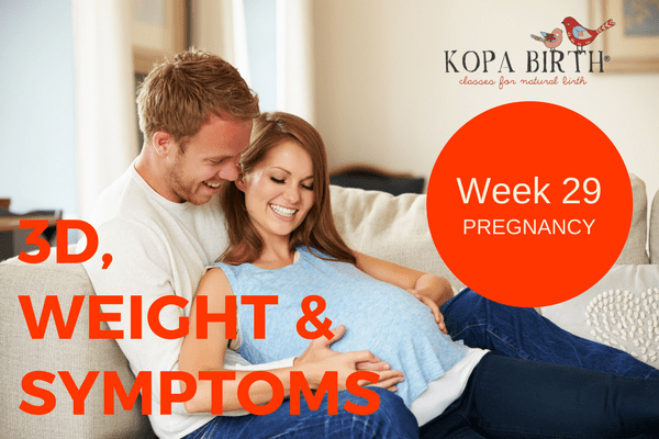 Week 29 Pregnancy: 3D, Weight & Symptoms • Kopa Birth®